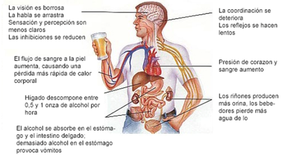 Ilustración de la lección sobre alcohol y conducción